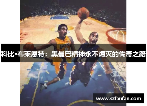 科比·布莱恩特：黑曼巴精神永不熄灭的传奇之路