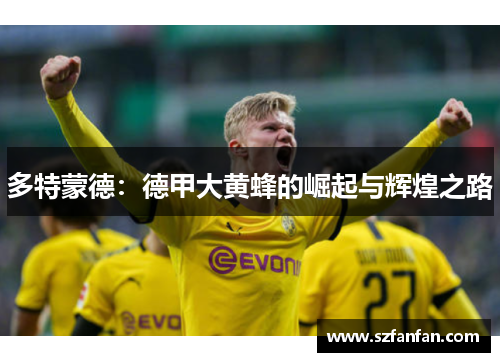多特蒙德：德甲大黄蜂的崛起与辉煌之路