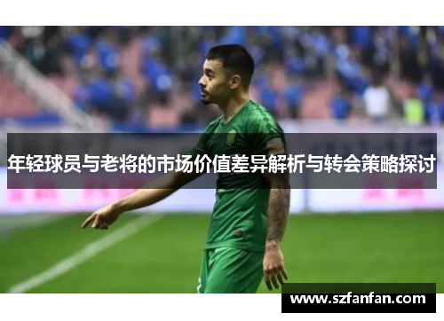年轻球员与老将的市场价值差异解析与转会策略探讨